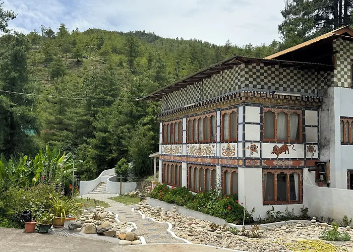 Dzi Pema